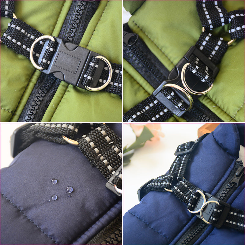 All in one waterproof dog coat with harness